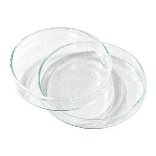 Petri Dish Glass