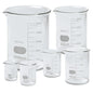 Glass Beakers Kit Set of 5 Beakers